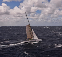 66° Sydney-Hobart:
vince "Wild Oats XI"